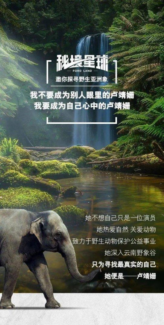 散花飞天线上首发预售，完成答题任务即可参与申购！